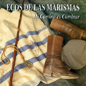El Regreso del Sur