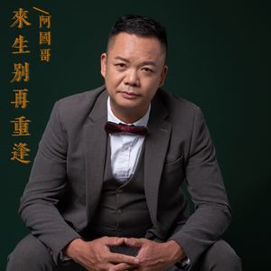来生别再重逢 (DJ阿能版)