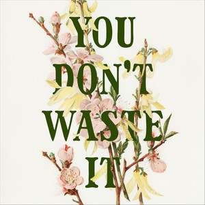 You Don't Waste It