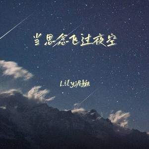 当思念飞过夜空