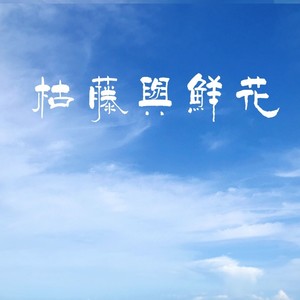 枯藤与鲜花伴奏 (伴奏)