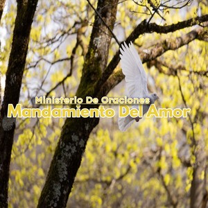 Mandamiento del Amor