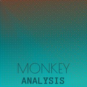 Monkey Analysis