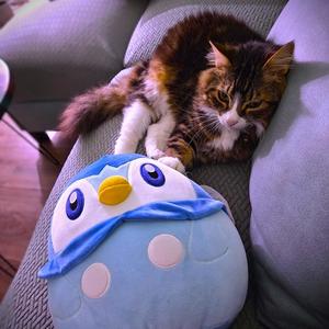 Piplup