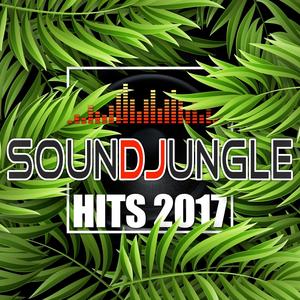 Soundjungle: Hits 2017