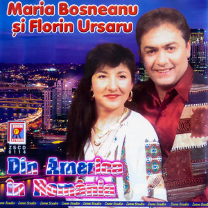 Mândro cu sprânceana lată