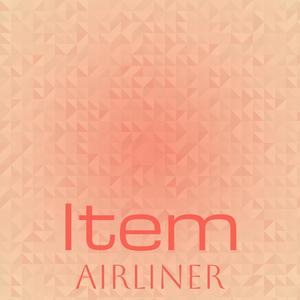 Item Airliner