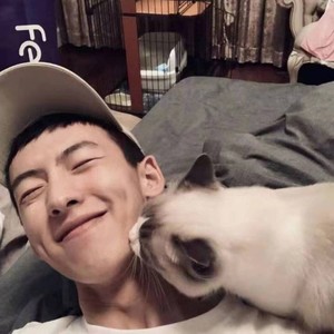 阿拉斯加海湾 (Demo)