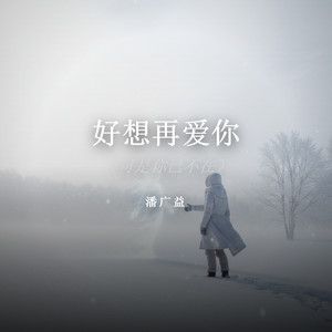 好想再爱你(可是你已不在)