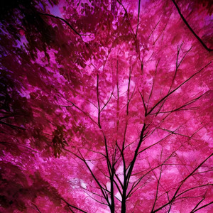 Capricorn Vs Cancer (Explicit)