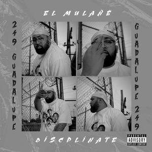 Disciplinate (Explicit)