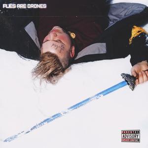 FLIES ARE DRONES (Explicit)