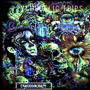 Psychedelic Trips