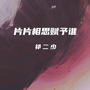 片片相思赋予谁 (伴奏)
