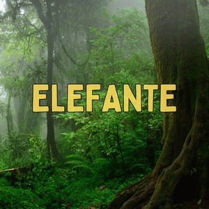 Elefante