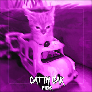 CAT IN CAR PHONK