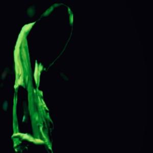 Hoodwinked (Explicit)