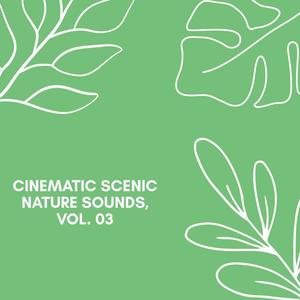 Cinematic Scenic Nature Sounds, Vol. 03