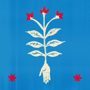 Nada podrá alcanzarte