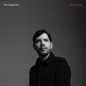 Hidden in Plain Sight (feat. Vardan Ovsepian, Jonathan Richards & Dan Schnelle)