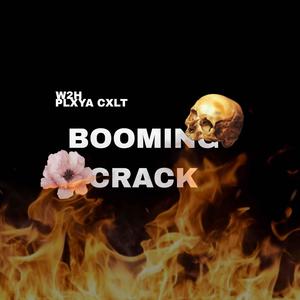 Booming Crack (Explicit)