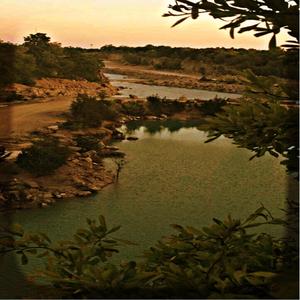 I DON'T KNOW IF I'LL WAKE UP TOMORROW (Explicit)