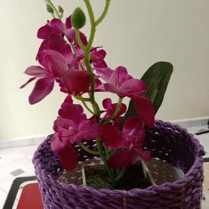 Maheja Porengu (Remix)