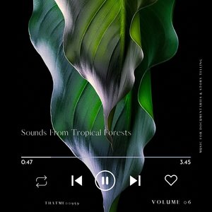 Sounds From Tropical Forests - Music for Documentaries & Story Telling, Vol. 06