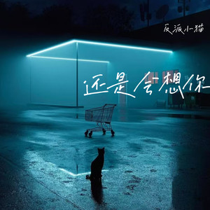 还是会想你-反派小猫
