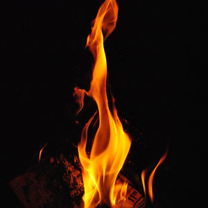 Fuego Music - Spooky Season (Explicit)