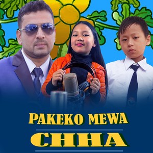 Pakeko Mewa Chha