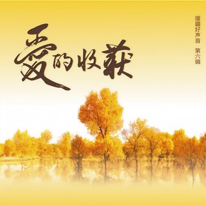 胡杨 知音