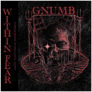 Within Fear (Explicit)