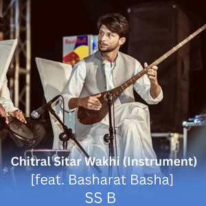 Chitral Sitar Wakhi (Instrument)