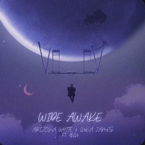 Wide Awake (feat. Blu & Hunter Zarin) (Explicit)