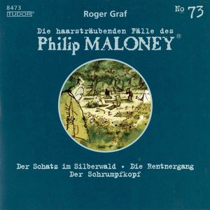 Der Schatz im Silberwald