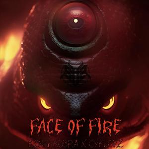 Face of Fire