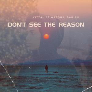 Don't See The Reason (feat. Wabooj & Daoism)