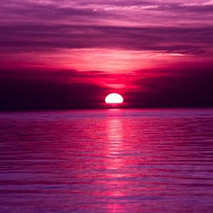 You The Only One (I Want) (Explicit)