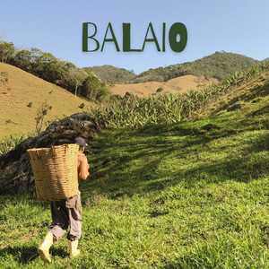 Balaio