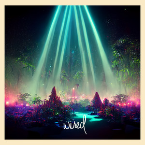 No Limits (Javier Light Remix)