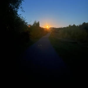 Too Many Guys (feat. LLax) (Explicit)