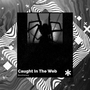 Caught in the Web