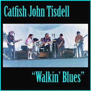 Walkin' Blues (Live) [feat. Dan Bash, James Elmo Lierly, Alika Ross & Tom Tierney]