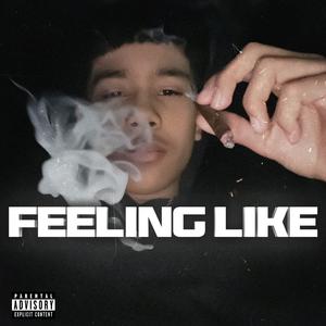 Feeling Like (Explicit)