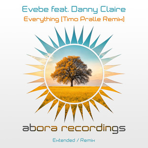 Everything (Timo Pralle Extended Remix)