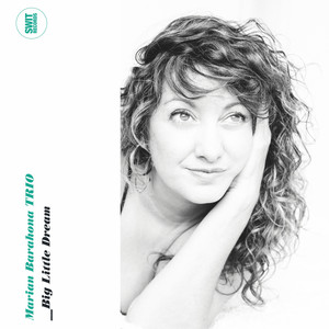 Flight of the Foo Birds