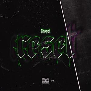 RESET (Explicit)