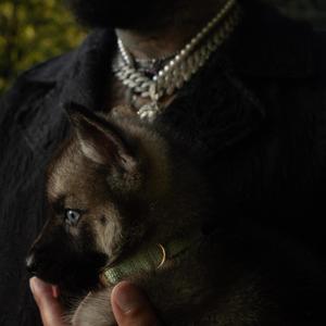 Keltec (feat. DJ Pakin) (Explicit)