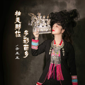 壮美那佐 多彩苗乡